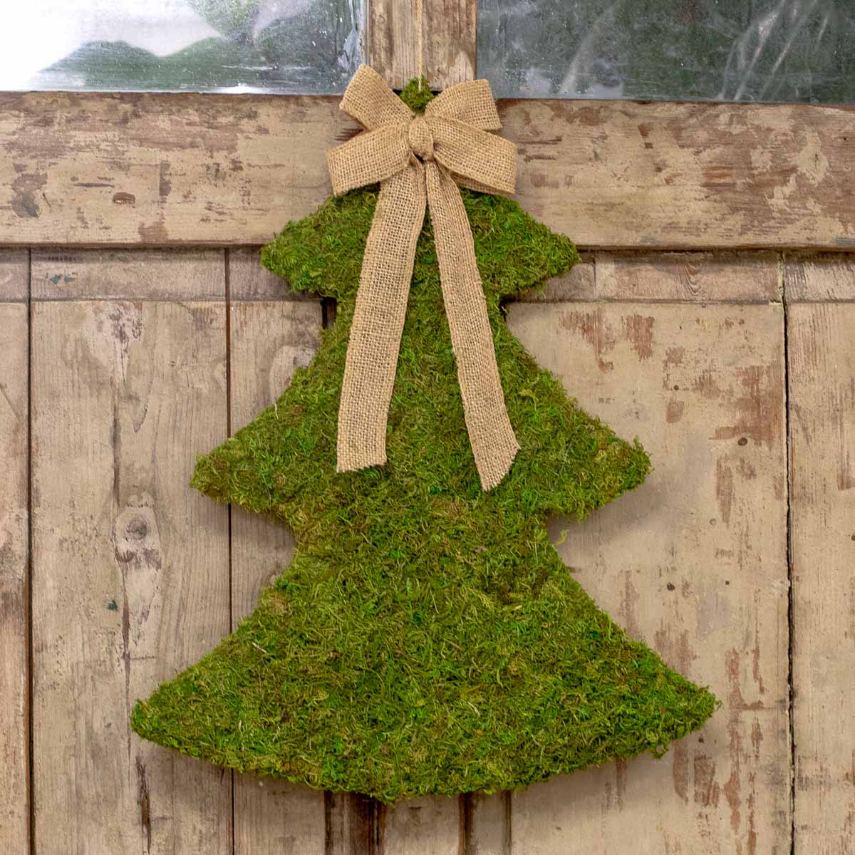 Moss Tree Hanging Green 16x20