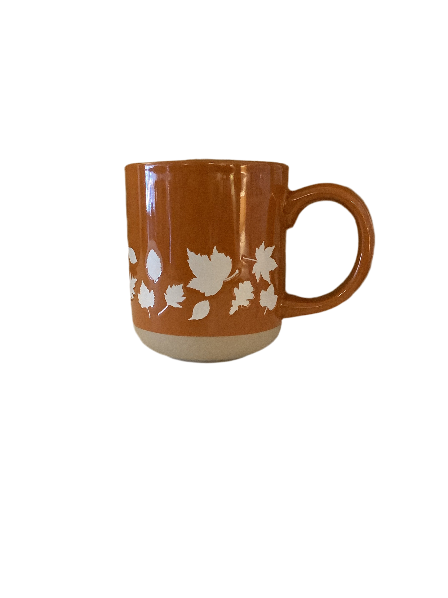 Falling Leaves Mug