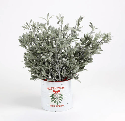 Mistletoe Branch