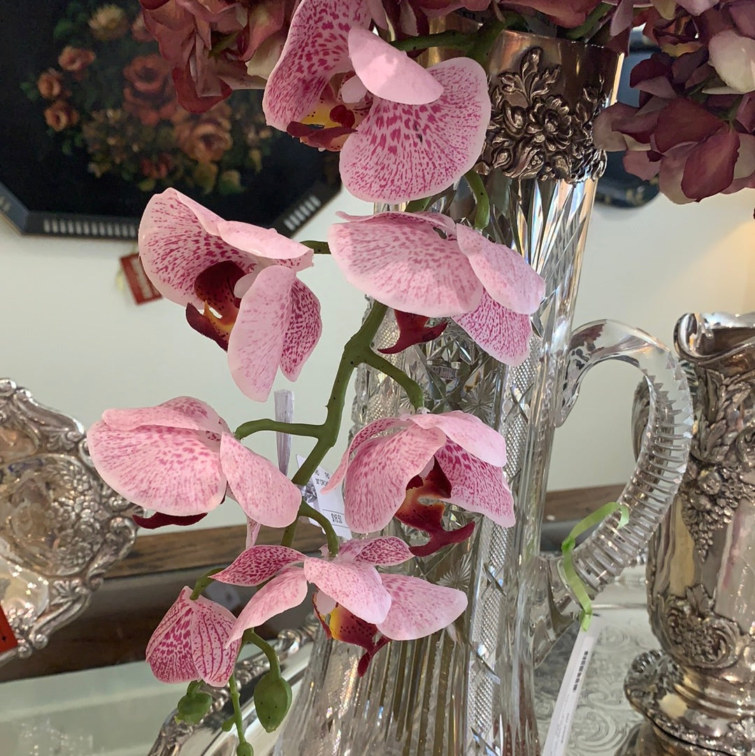 Lavender Orchid Spray