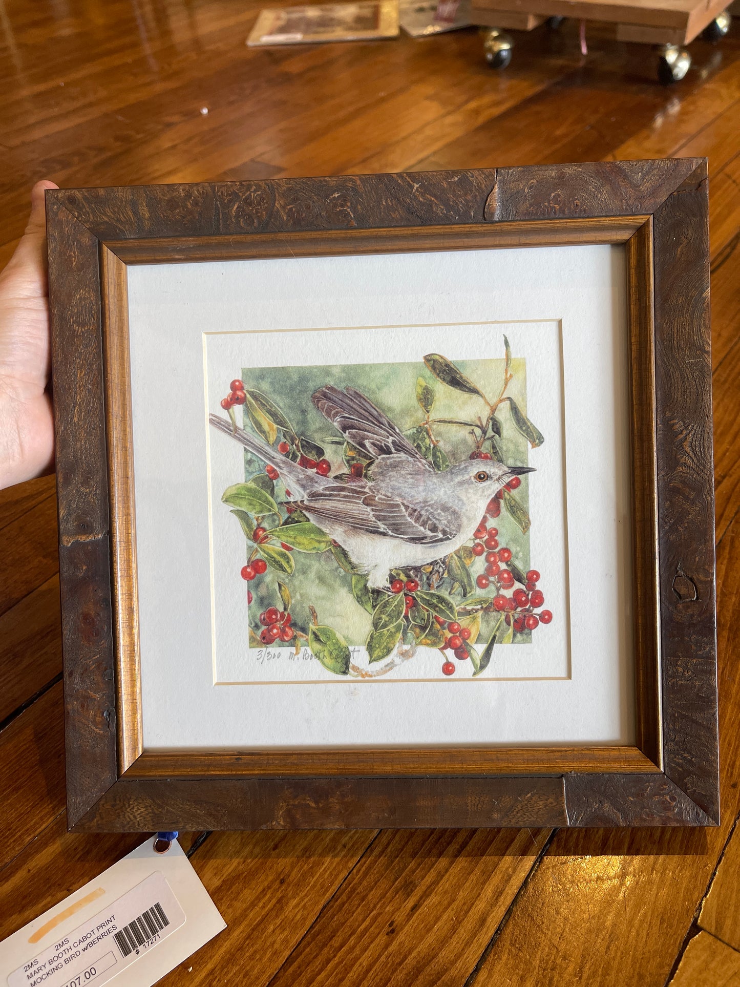 MARY BOOTH CABOT PRINTS (Multiple Styles Available)