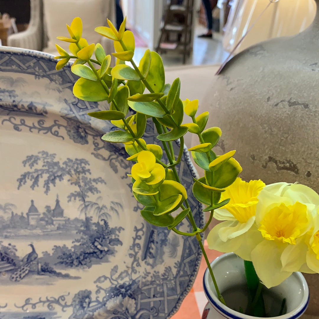 Green and Yellow Plastic Spray