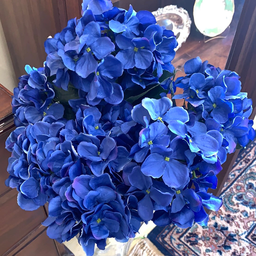 HYDRANGEA BUSH