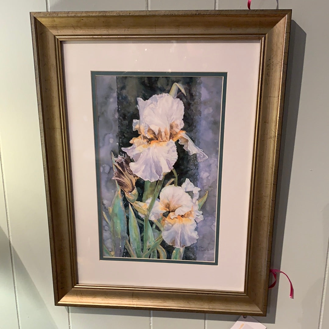 MARY BOOTH CABOT PRINTS (Multiple Styles Available)