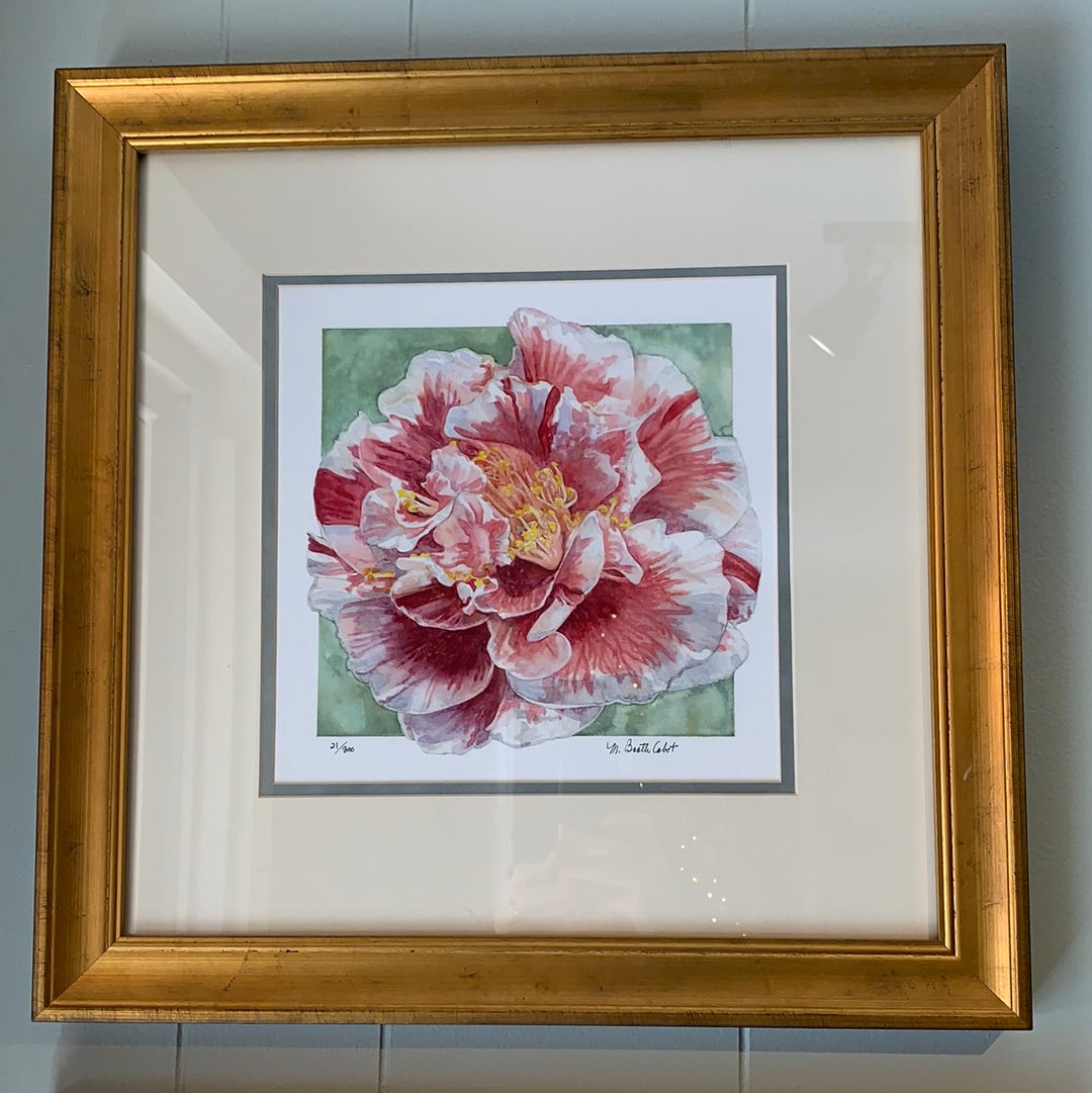 MARY BOOTH CABOT PRINTS (Multiple Styles Available)