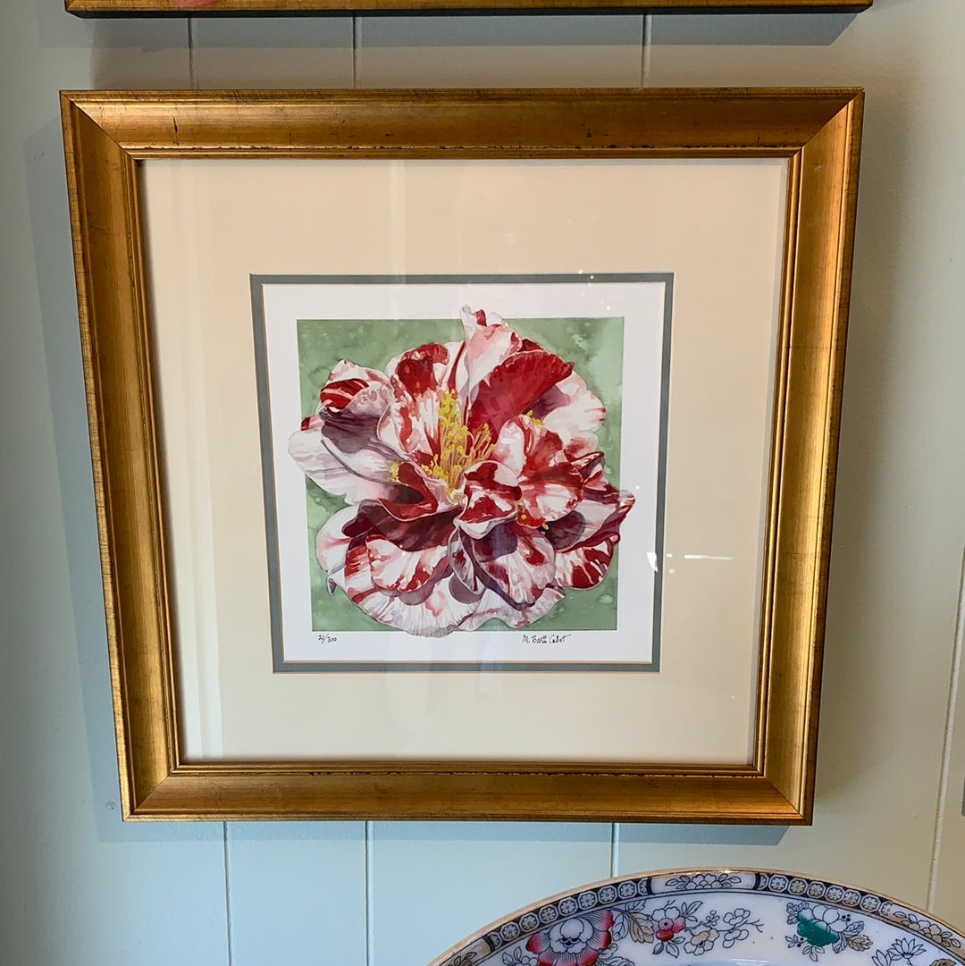 MARY BOOTH CABOT PRINTS (Multiple Styles Available)