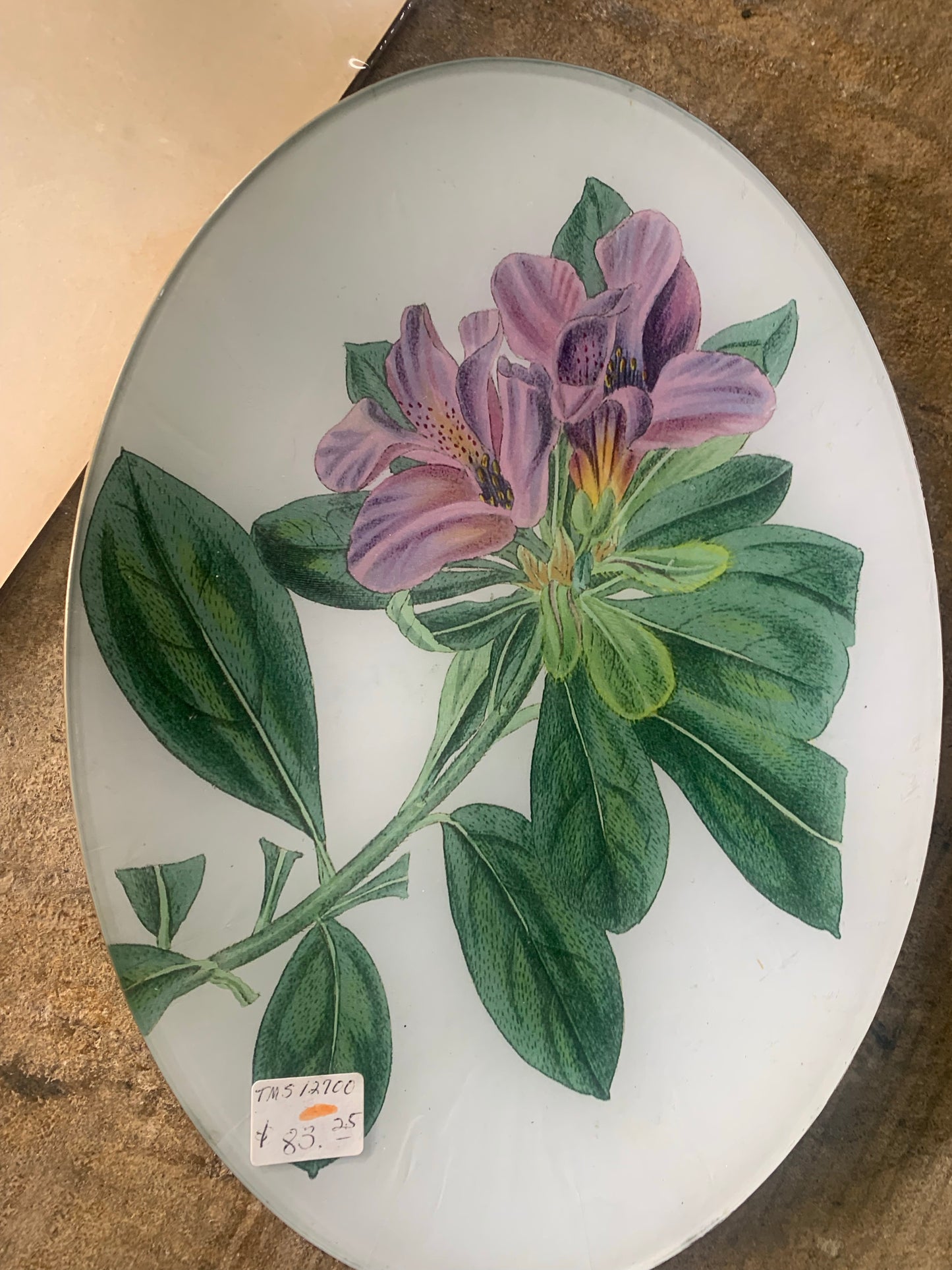 INDIAN AZALEA