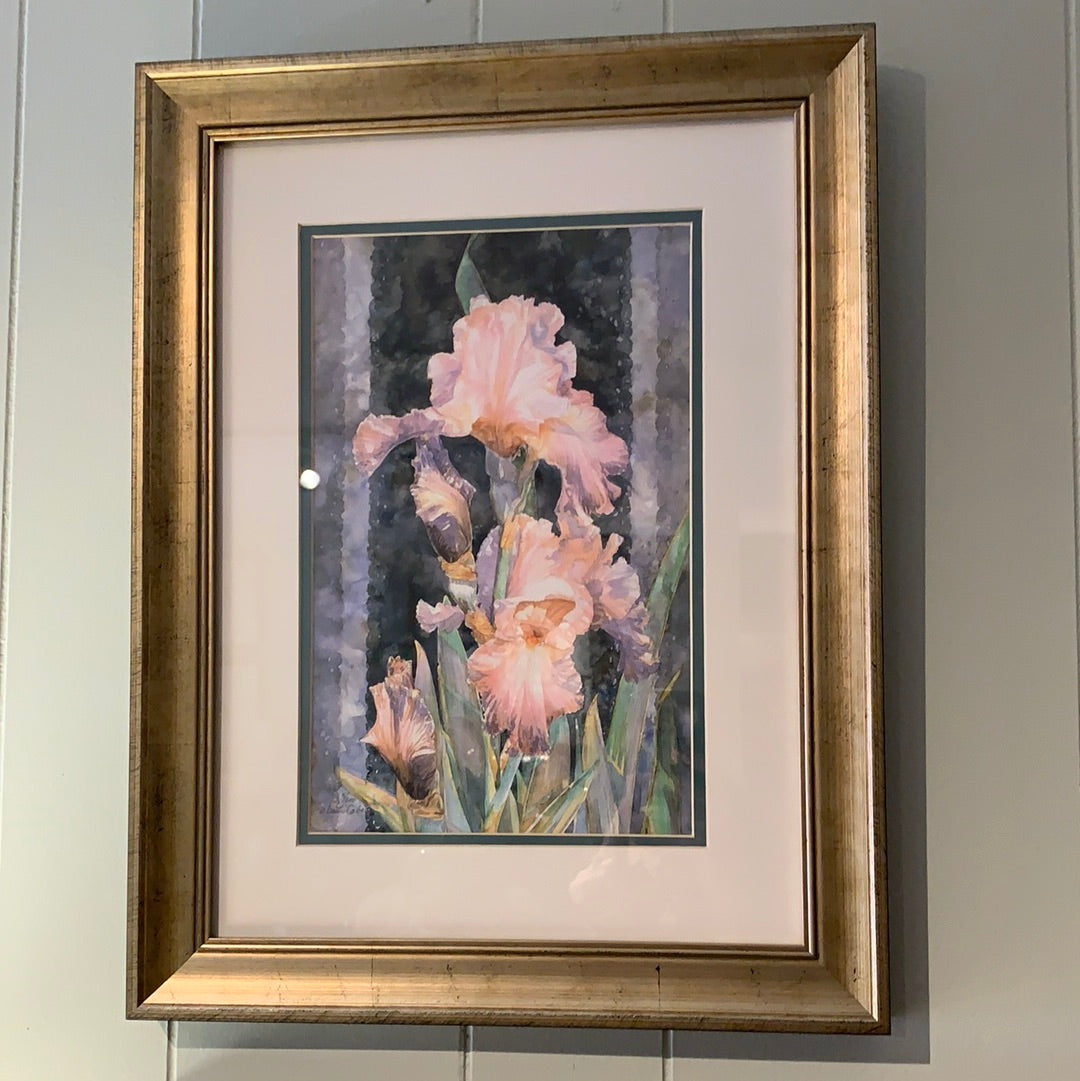 MARY BOOTH CABOT PRINTS (Multiple Styles Available)