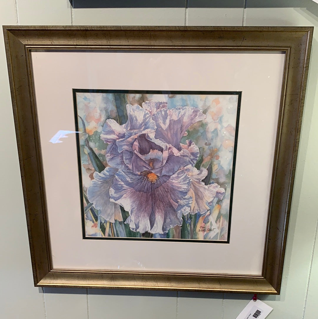 MARY BOOTH CABOT PRINTS (Multiple Styles Available)
