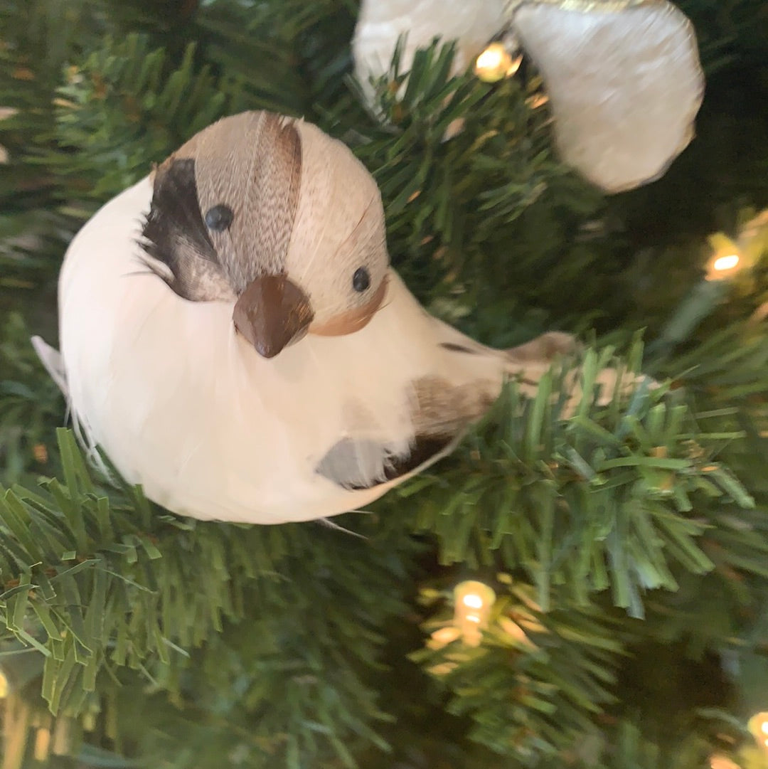 WHITE FEATHER BIRD CLIP ORN - MEDIUM