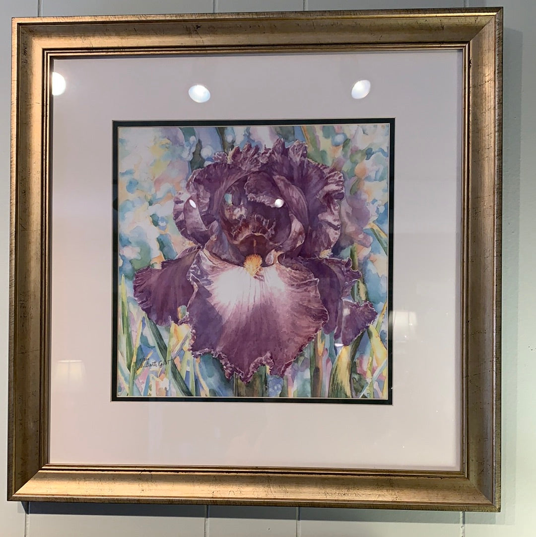 MARY BOOTH CABOT PRINTS (Multiple Styles Available)
