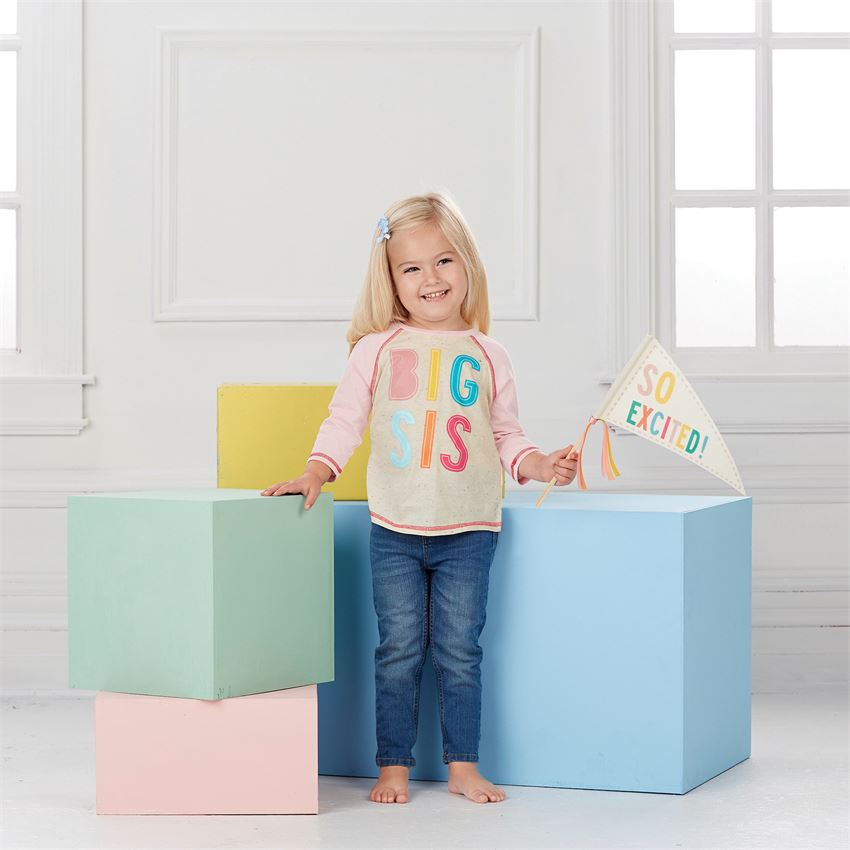 Big Sis Shirt & Pennant Set - Breckenridge Baby