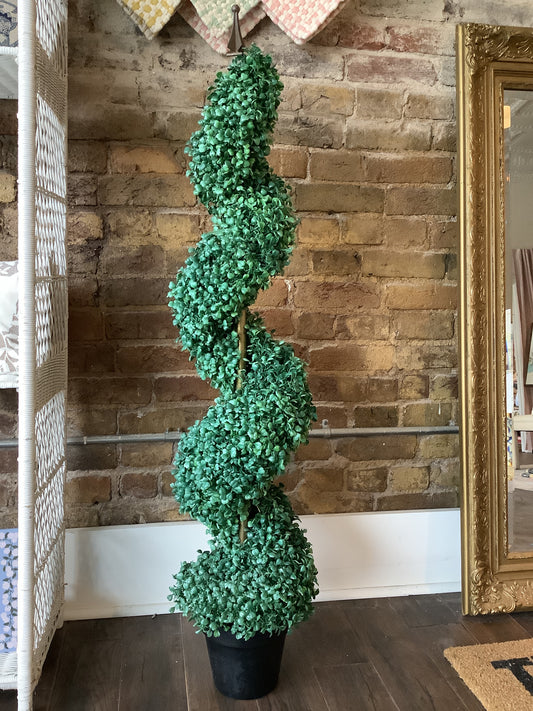 Boxwood Spiral Topiary Tree