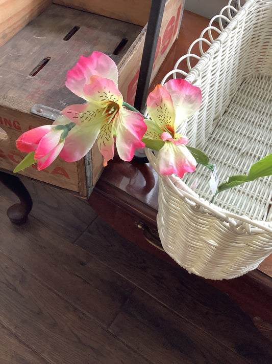 alstroemeria stem