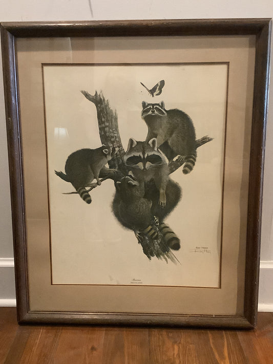 Ray Harm Print