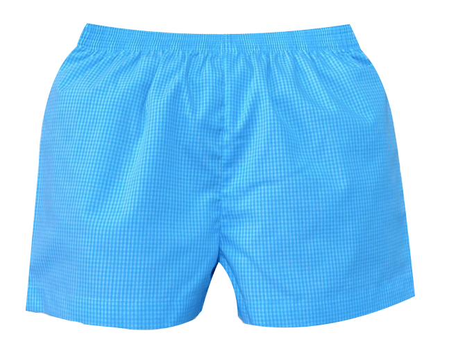 Seafoam Gingham Bennett Short - Breckenridge Baby