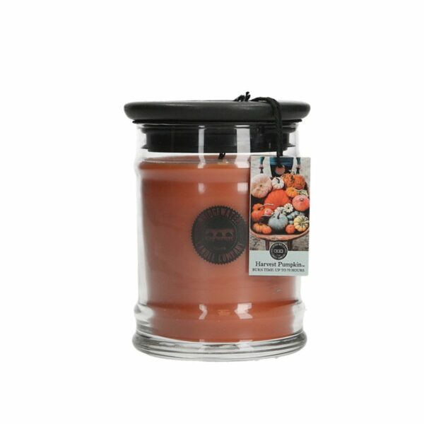 Harvest Pumpkin 8oz Small Jar Candle