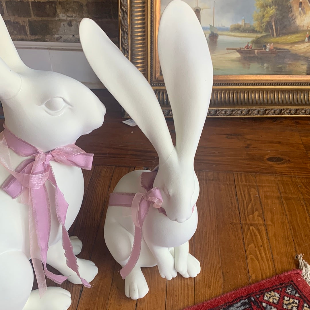Long Ear Bunny