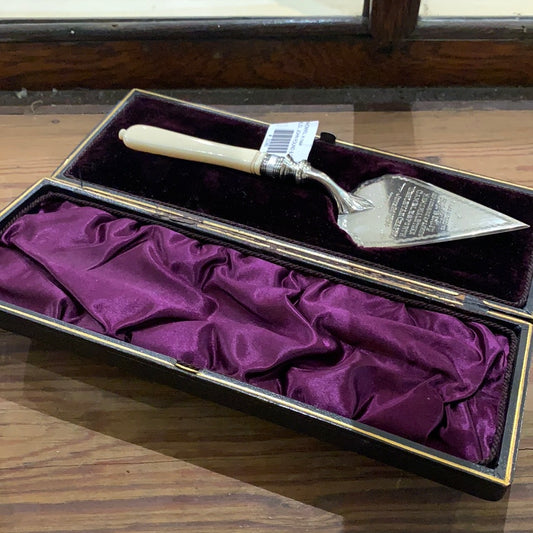 SP PRESENTATION TROWEL in case