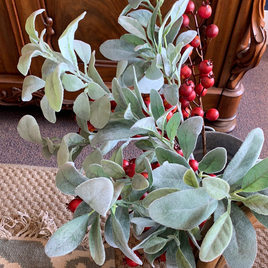 Lambs Ear Spray