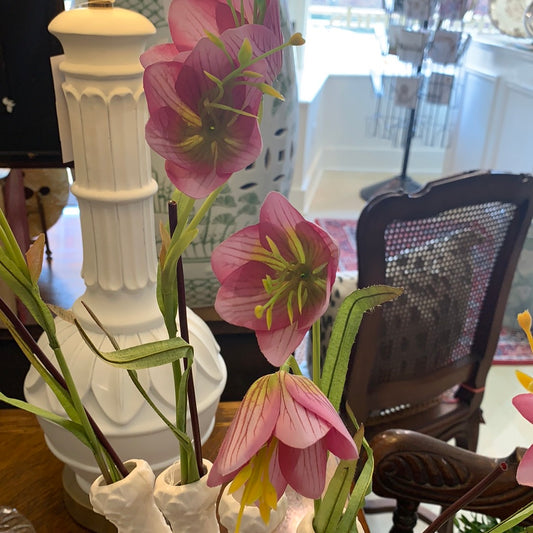 FRITILLARIA